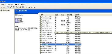 為什么Internet信息服務(wù)中沒有項目顯示？