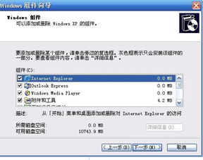 解析電腦未安裝Internet信息服務(wù)(IIS)的可能原因