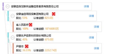 安徽信?；ヂ摼W金融信息服務有限責任公司 深耕互聯網信息服務，賦能區域金融創新